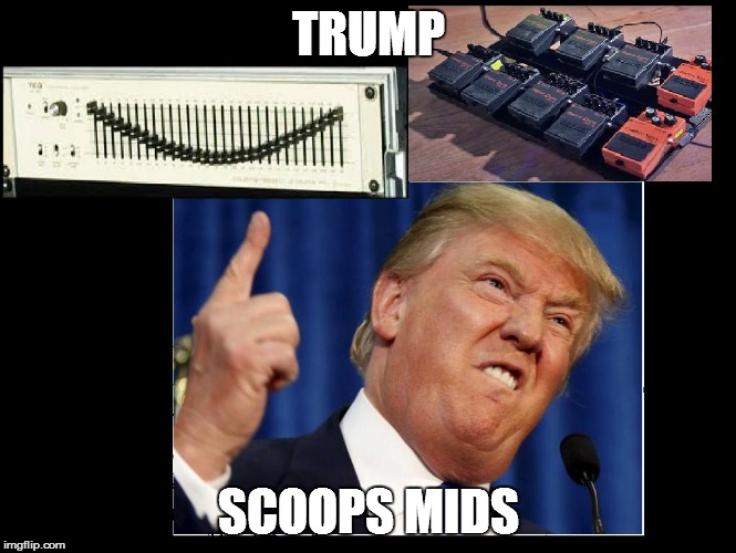 TRUMP; SCOOPS MIDS | image tagged in trump scoops mids | made w/ Imgflip meme maker