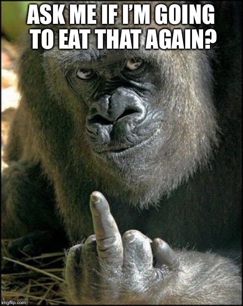 Gorilla Sushi Says | ASK ME IF I’M GOING TO EAT THAT AGAIN? | image tagged in gorilla sushi says | made w/ Imgflip meme maker