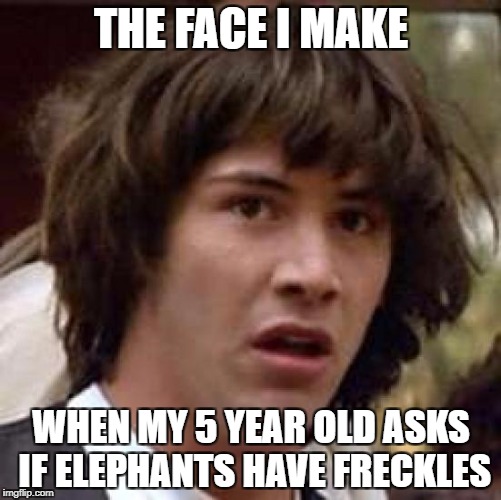 Conspiracy Keanu Meme | THE FACE I MAKE; WHEN MY 5 YEAR OLD ASKS IF ELEPHANTS HAVE FRECKLES | image tagged in memes,conspiracy keanu | made w/ Imgflip meme maker