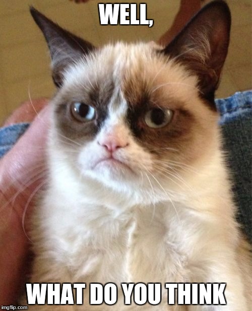 Grumpy Cat Meme | WELL, WHAT DO YOU THINK | image tagged in memes,grumpy cat | made w/ Imgflip meme maker