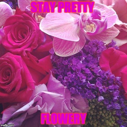 Flowers | STAY PRETTY; FLOWERY | image tagged in flowers | made w/ Imgflip meme maker