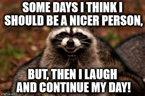 Evil Plotting Raccoon | SOME DAYS I THINK I SHOULD BE A NICER PERSON, BUT, THEN I LAUGH AND CONTINUE MY DAY! | image tagged in memes,evil plotting raccoon | made w/ Imgflip meme maker