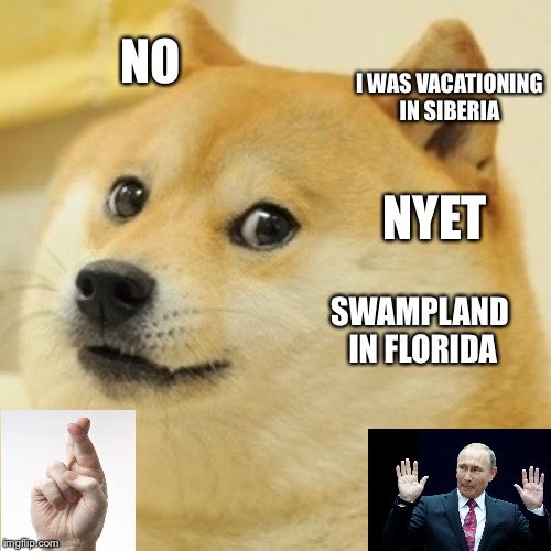 Doge Meme | NO; I WAS VACATIONING IN SIBERIA; NYET; SWAMPLAND IN FLORIDA | image tagged in memes,doge | made w/ Imgflip meme maker