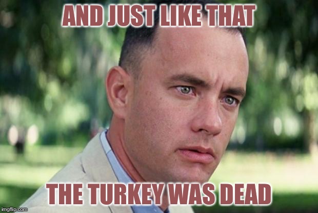 And Just Like That | AND JUST LIKE THAT; THE TURKEY WAS DEAD | image tagged in forrest gump | made w/ Imgflip meme maker