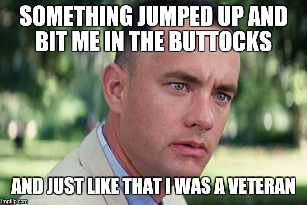 And Just Like That Meme | SOMETHING JUMPED UP AND BIT ME IN THE BUTTOCKS; AND JUST LIKE THAT I WAS A VETERAN | image tagged in forrest gump | made w/ Imgflip meme maker