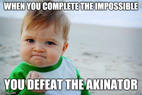 Defeating the akinator | WHEN YOU COMPLETE THE IMPOSSIBLE; YOU DEFEAT THE AKINATOR | image tagged in memes,success kid original,akinator,impossible,success,funny | made w/ Imgflip meme maker