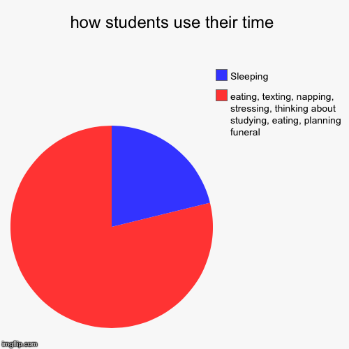image tagged in pie charts,student,dank | made w/ Imgflip chart maker