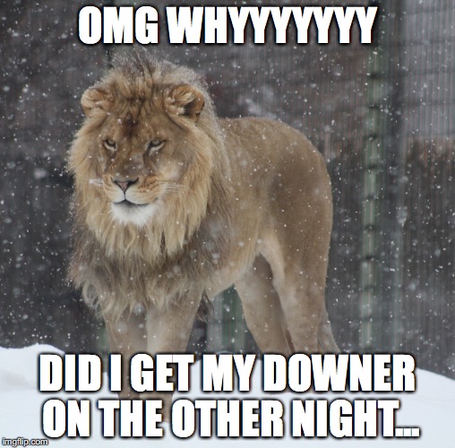 lion in snow | OMG WHYYYYYYY; DID I GET MY DOWNER ON THE OTHER NIGHT... | image tagged in debbie downer,lion,snow | made w/ Imgflip meme maker