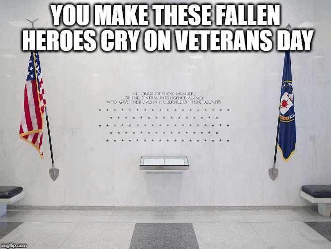 American Heros | YOU MAKE THESE FALLEN HEROES CRY ON VETERANS DAY | image tagged in american heros | made w/ Imgflip meme maker