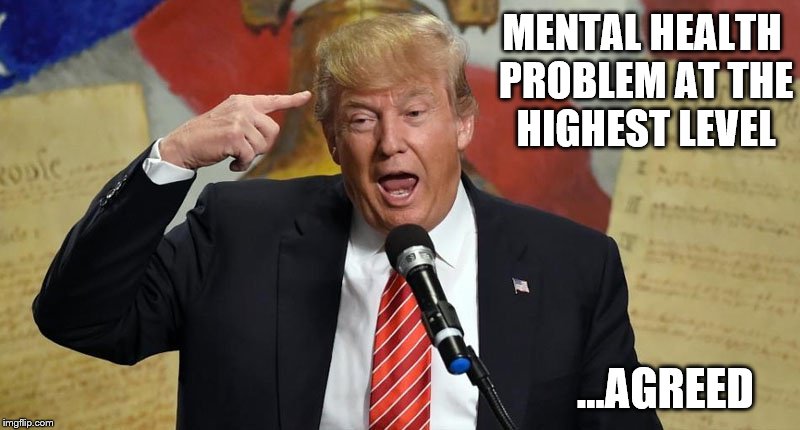 MENTAL HEALTH PROBLEM AT THE HIGHEST LEVEL; ...AGREED | image tagged in texas church,trump,nra,mental illness | made w/ Imgflip meme maker