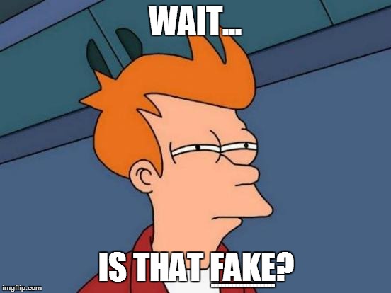 Futurama Fry Meme | WAIT... IS THAT FAKE? .................. | image tagged in memes,futurama fry | made w/ Imgflip meme maker
