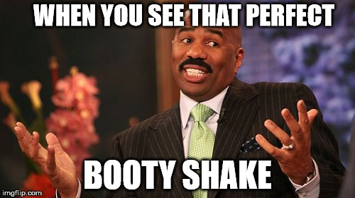 Dat Booty | WHEN YOU SEE THAT PERFECT; BOOTY SHAKE | image tagged in memes,steve harvey,booty shake,nsfw | made w/ Imgflip meme maker