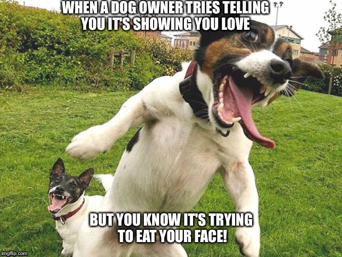 Dog haters life  | WHEN A DOG OWNER TRIES TELLING YOU IT'S SHOWING YOU LOVE; BUT YOU KNOW IT'S TRYING TO EAT YOUR FACE! | image tagged in dog memes,dogs,funny dogs,dog,bad joke dog,laughing dog | made w/ Imgflip meme maker