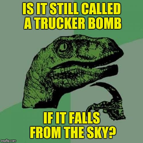 Philosoraptor Meme | IS IT STILL CALLED A TRUCKER BOMB IF IT FALLS FROM THE SKY? | image tagged in memes,philosoraptor | made w/ Imgflip meme maker