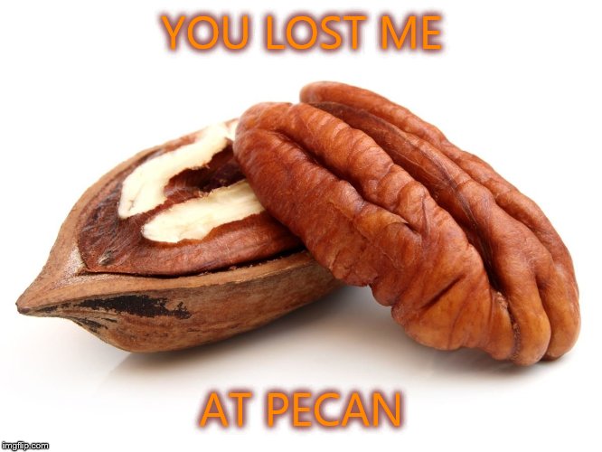 You say pe-can, I say pah-kan! | YOU LOST ME; AT PECAN | image tagged in pecan,holidays,food,desert,thanksgiving | made w/ Imgflip meme maker