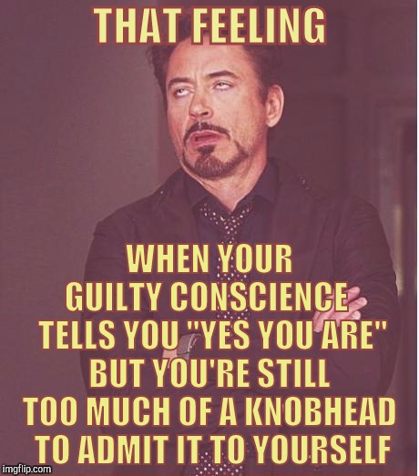 Face You Make Robert Downey Jr Meme | THAT FEELING; WHEN YOUR       GUILTY CONSCIENCE     TELLS YOU "YES YOU ARE"    BUT YOU'RE STILL     TOO MUCH OF A KNOBHEAD     TO ADMIT IT TO YOURSELF | image tagged in memes,face you make robert downey jr | made w/ Imgflip meme maker