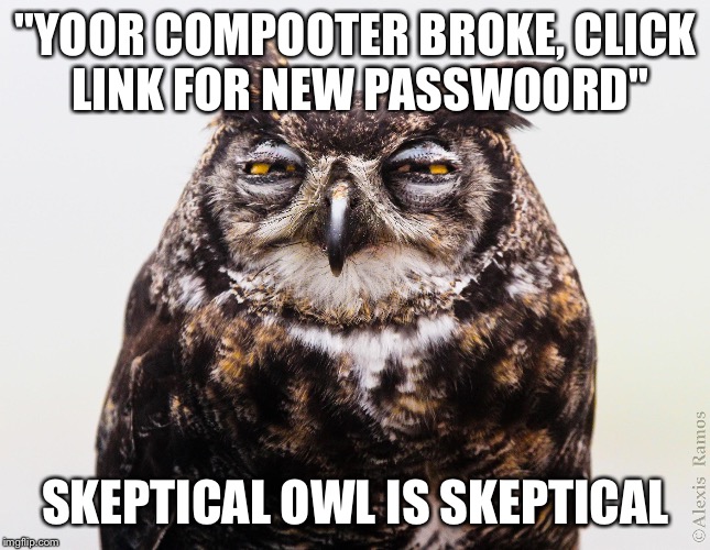 "YOOR COMPOOTER BROKE, CLICK LINK FOR NEW PASSWOORD"; SKEPTICAL OWL IS SKEPTICAL | image tagged in skeptical owl | made w/ Imgflip meme maker