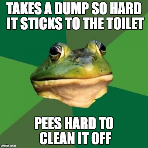 Foul Bachelor Frog Meme |  TAKES A DUMP SO HARD IT STICKS TO THE TOILET; PEES HARD TO CLEAN IT OFF | image tagged in memes,foul bachelor frog | made w/ Imgflip meme maker