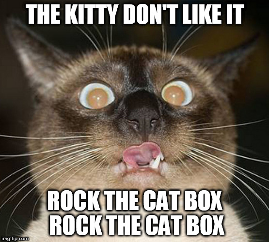 The Cat Clash | THE KITTY DON'T LIKE IT; ROCK THE CAT BOX
 ROCK THE CAT BOX | image tagged in the clash,bad puns,cats,cute cats,homepage,leaderboard | made w/ Imgflip meme maker