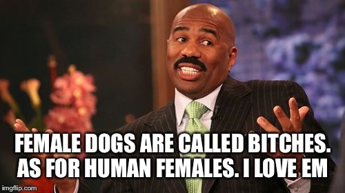 Steve Harvey Meme | FEMALE DOGS ARE CALLED B**CHES. AS FOR HUMAN FEMALES. I LOVE EM | image tagged in memes,steve harvey | made w/ Imgflip meme maker