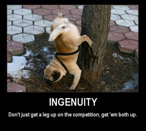 image tagged in demotivationals