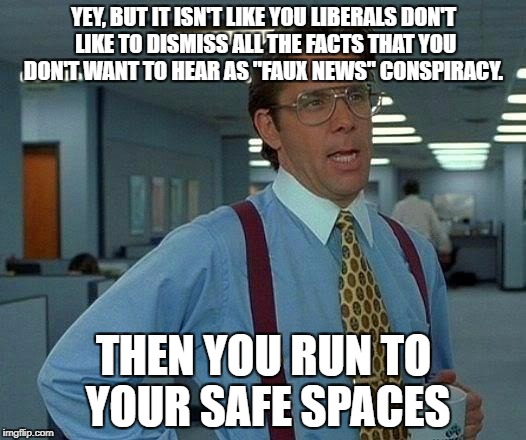 That Would Be Great Meme | YEY, BUT IT ISN'T LIKE YOU LIBERALS DON'T LIKE TO DISMISS ALL THE FACTS THAT YOU DON'T WANT TO HEAR AS "FAUX NEWS" CONSPIRACY. THEN YOU RUN  | image tagged in memes,that would be great | made w/ Imgflip meme maker