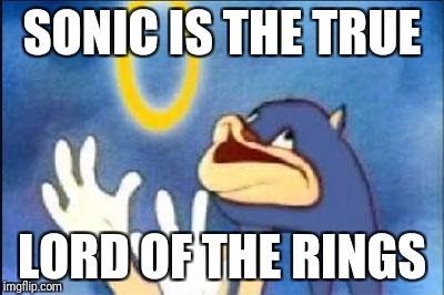 Sonic derp | SONIC IS THE TRUE; LORD OF THE RINGS | image tagged in sonic derp | made w/ Imgflip meme maker