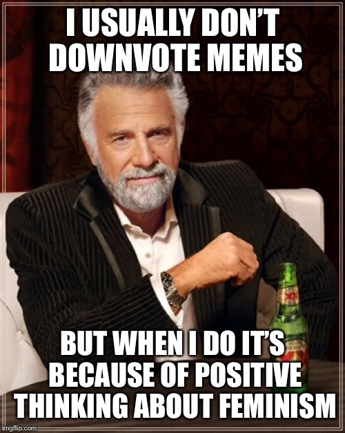 The Most Interesting Man In The World Meme | I USUALLY DON’T DOWNVOTE MEMES BUT WHEN I DO IT’S BECAUSE OF POSITIVE THINKING ABOUT FEMINISM | image tagged in memes,the most interesting man in the world | made w/ Imgflip meme maker