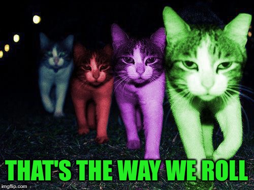 Wrong Neighborhood RayCats | THAT'S THE WAY WE ROLL | image tagged in wrong neighborhood raycats | made w/ Imgflip meme maker