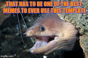 Happy Eel | THAT HAS TO BE ONE OF THE BEST MEMES TO EVER USE THIS TEMPLATE | image tagged in happy eel | made w/ Imgflip meme maker