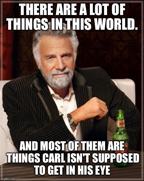 The Most Interesting Man In The World Meme | THERE ARE A LOT OF THINGS IN THIS WORLD. AND MOST OF THEM ARE THINGS CARL ISN'T SUPPOSED TO GET IN HIS EYE | image tagged in memes,the most interesting man in the world | made w/ Imgflip meme maker