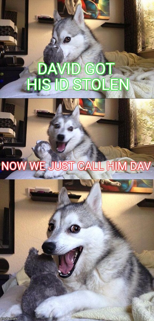 Bad Pun Dog | DAVID GOT HIS ID STOLEN; NOW WE JUST CALL HIM DAV | image tagged in memes,bad pun dog | made w/ Imgflip meme maker