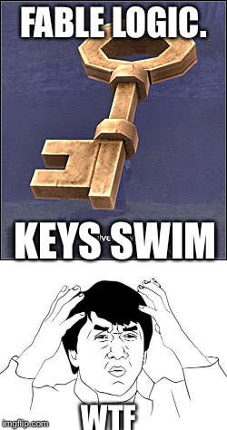 Fable the Lost Chapters week. Nov.11- Nov.17 A LordofIrrelevantMemes event. | FABLE LOGIC. KEYS SWIM; WTF | image tagged in jackie chan wtf,memes,logic | made w/ Imgflip meme maker