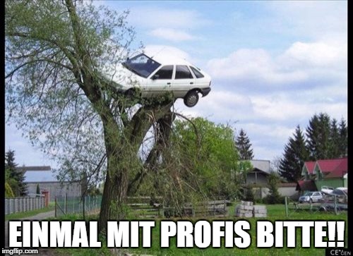 Secure Parking Meme | EINMAL MIT PROFIS BITTE!! | image tagged in memes,secure parking | made w/ Imgflip meme maker