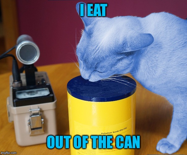 RayCat eating | I EAT OUT OF THE CAN | image tagged in raycat eating | made w/ Imgflip meme maker