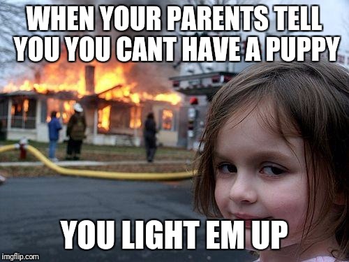Disaster Girl Meme | WHEN YOUR PARENTS TELL YOU YOU CANT HAVE A PUPPY; YOU LIGHT EM UP | image tagged in memes,disaster girl | made w/ Imgflip meme maker