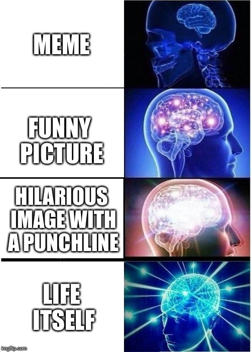 Expanding Brain Meme | MEME; FUNNY PICTURE; HILARIOUS IMAGE WITH A PUNCHLINE; LIFE ITSELF | image tagged in memes,expanding brain | made w/ Imgflip meme maker