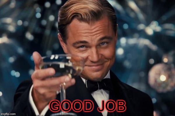 Leonardo Dicaprio Cheers Meme | GOOD JOB | image tagged in memes,leonardo dicaprio cheers | made w/ Imgflip meme maker