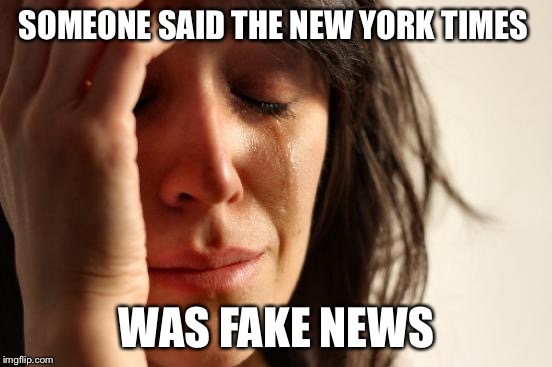 First World Problems | SOMEONE SAID THE NEW YORK TIMES; WAS FAKE NEWS | image tagged in memes,first world problems,new york times,fake news | made w/ Imgflip meme maker