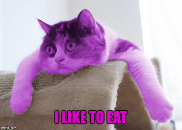 RayCat Stare | I LIKE TO EAT | image tagged in raycat stare | made w/ Imgflip meme maker