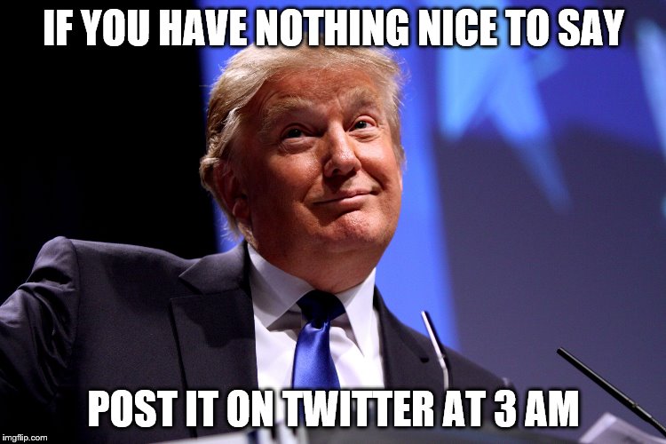 Donald Trump | IF YOU HAVE NOTHING NICE TO SAY; POST IT ON TWITTER AT 3 AM | image tagged in donald trump | made w/ Imgflip meme maker