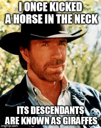Chuck Norris | I ONCE KICKED A HORSE IN THE NECK; ITS DESCENDANTS ARE KNOWN AS GIRAFFES | image tagged in memes,chuck norris | made w/ Imgflip meme maker