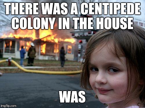 Disaster Girl Meme | THERE WAS A CENTIPEDE COLONY IN THE HOUSE; WAS | image tagged in memes,disaster girl | made w/ Imgflip meme maker