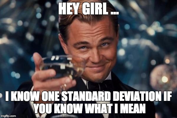 Leonardo Dicaprio Cheers | HEY GIRL ... I KNOW ONE STANDARD DEVIATION
IF YOU KNOW WHAT I MEAN | image tagged in memes,leonardo dicaprio cheers | made w/ Imgflip meme maker
