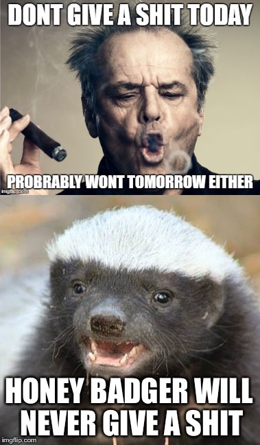 (But Secretly He Approves) |  HONEY BADGER WILL NEVER GIVE A SHIT | image tagged in honey badger,jack nicholson,i don't give a shit | made w/ Imgflip meme maker