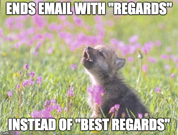 Baby Insanity Wolf Meme | ENDS EMAIL WITH "REGARDS"; INSTEAD OF "BEST REGARDS" | image tagged in memes,baby insanity wolf | made w/ Imgflip meme maker
