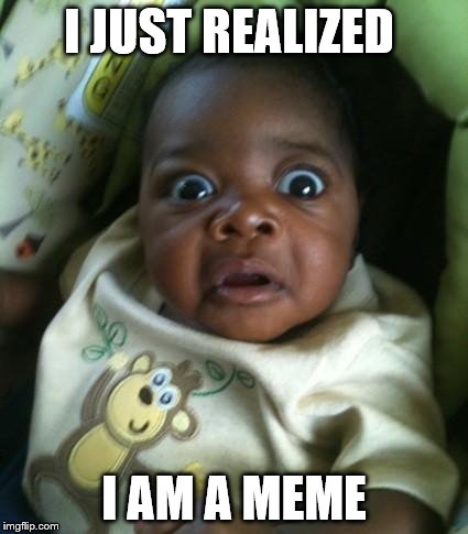 Gasp in real life | I JUST REALIZED; I AM A MEME | image tagged in gasp in real life | made w/ Imgflip meme maker