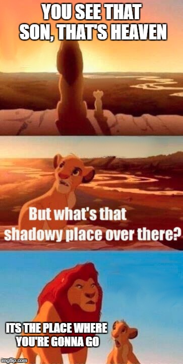 Simba Shadowy Place | YOU SEE THAT SON, THAT'S HEAVEN; ITS THE PLACE WHERE YOU'RE GONNA GO | image tagged in memes,simba shadowy place | made w/ Imgflip meme maker