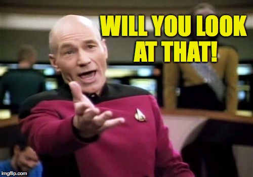 Picard Wtf Meme | WILL YOU LOOK AT THAT! | image tagged in memes,picard wtf | made w/ Imgflip meme maker