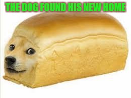 Doge bread | THE DOG FOUND HIS NEW HOME | image tagged in doge bread | made w/ Imgflip meme maker